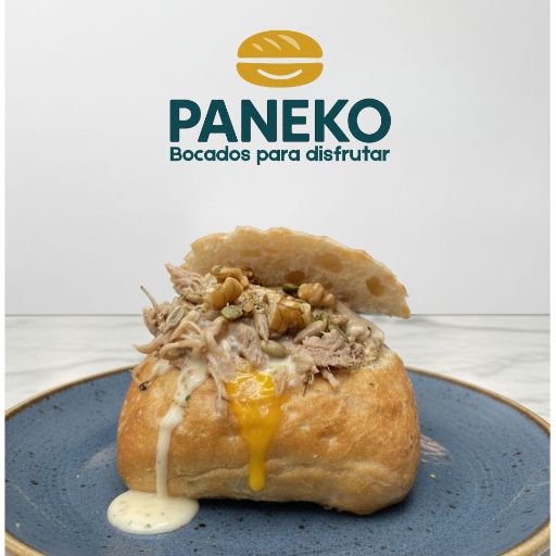 Paneko Vitoria's logo
